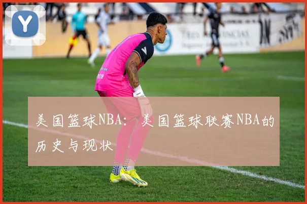 美国篮球NBA：美国篮球联赛NBA的历史与现状