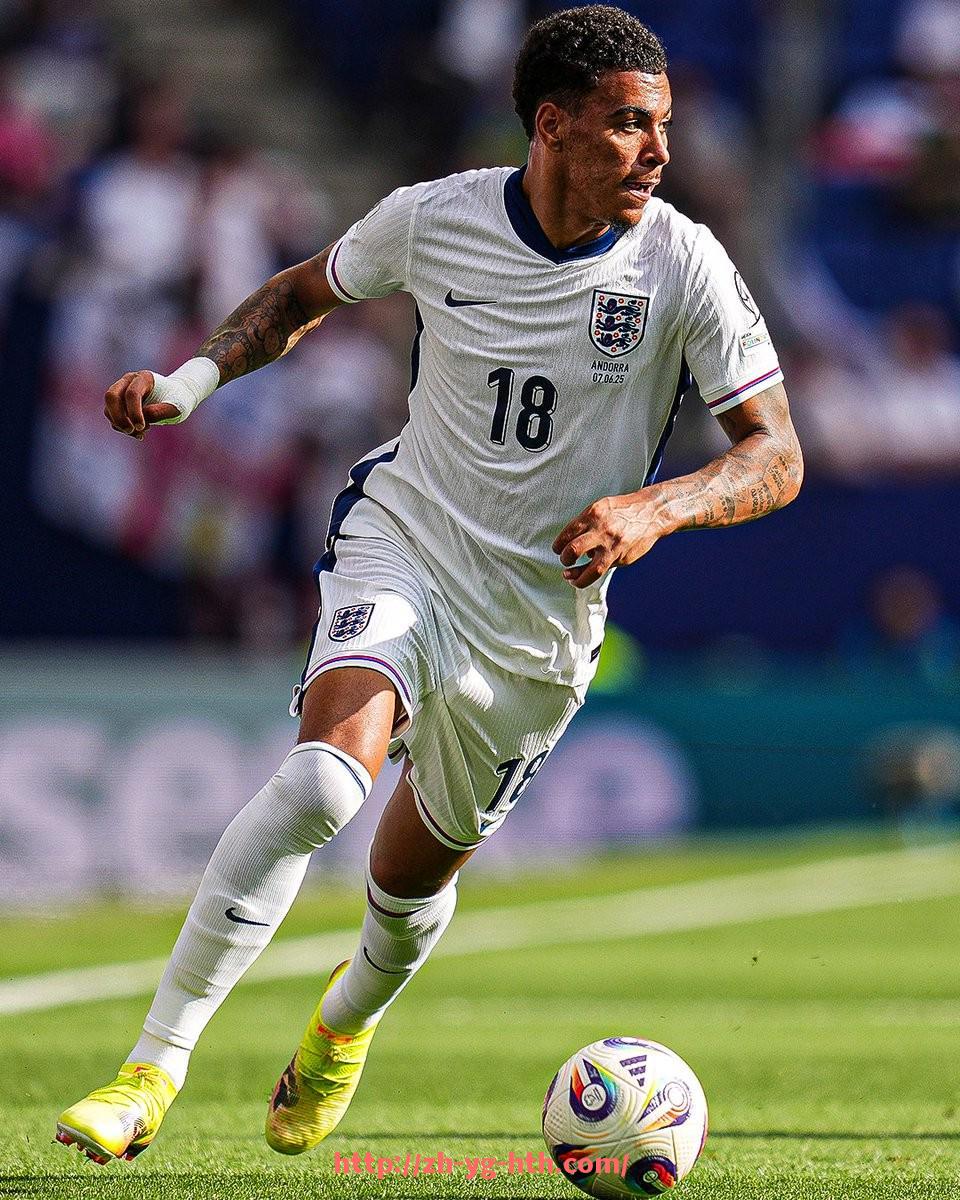 华体会hth-德甲拥有多少顶级球队？详细实力分布分析